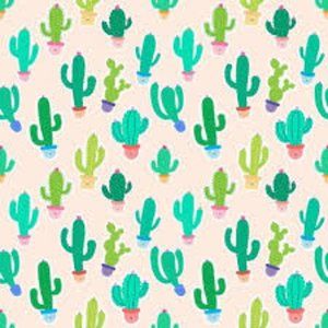 Meet your Posher, Aeriana